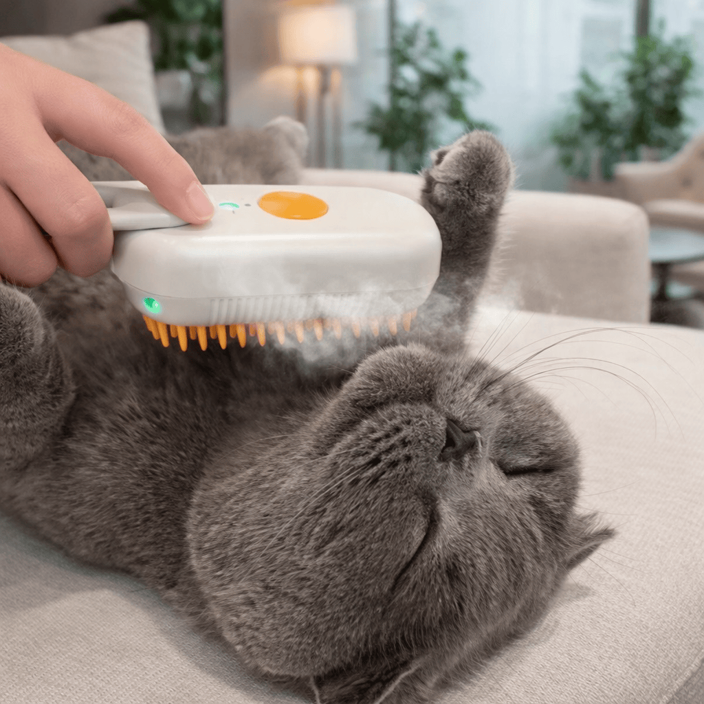 Pet Care and Comfort