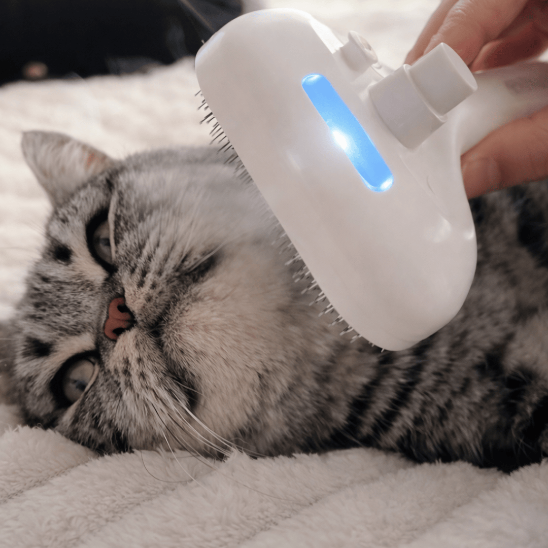 Rechargeable Mist Grooming Brush