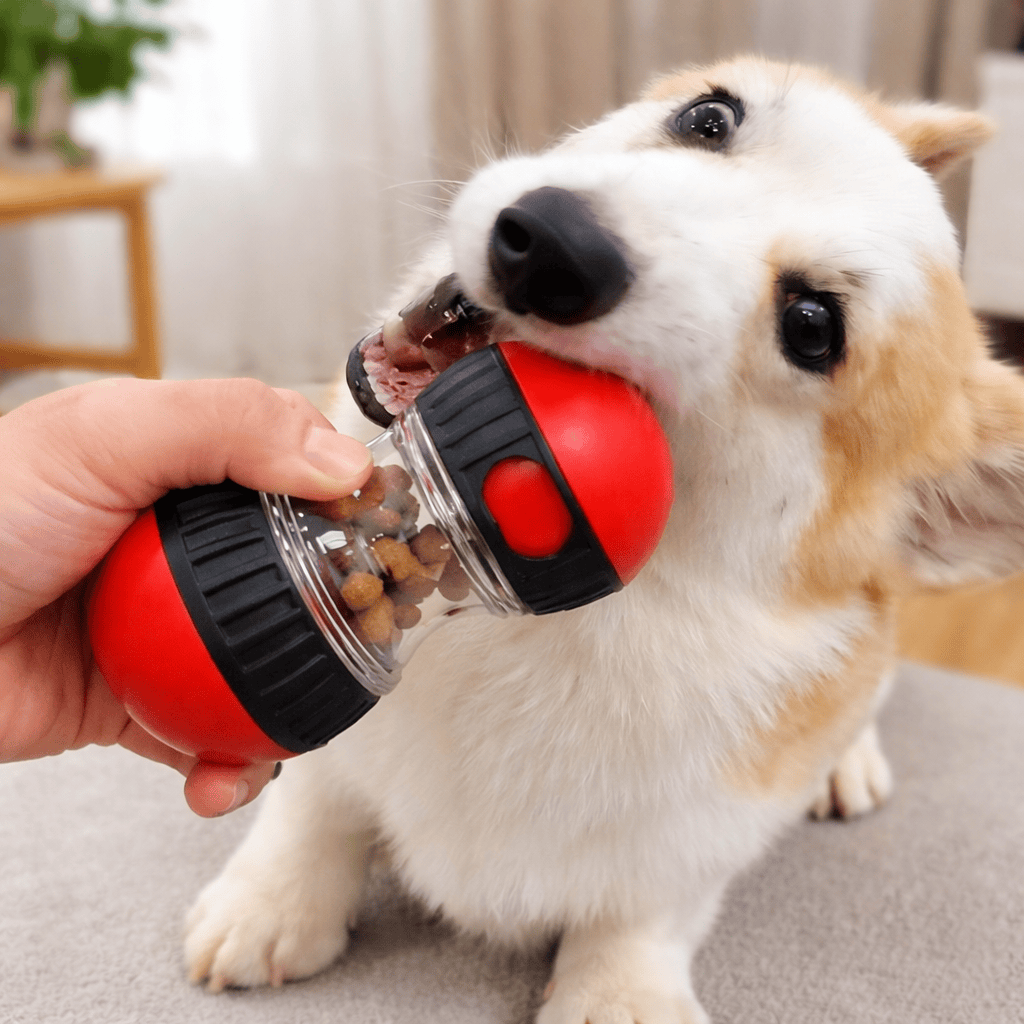 Paws Furfinity 1 Adjustable Treat Dispensing Dog Toy