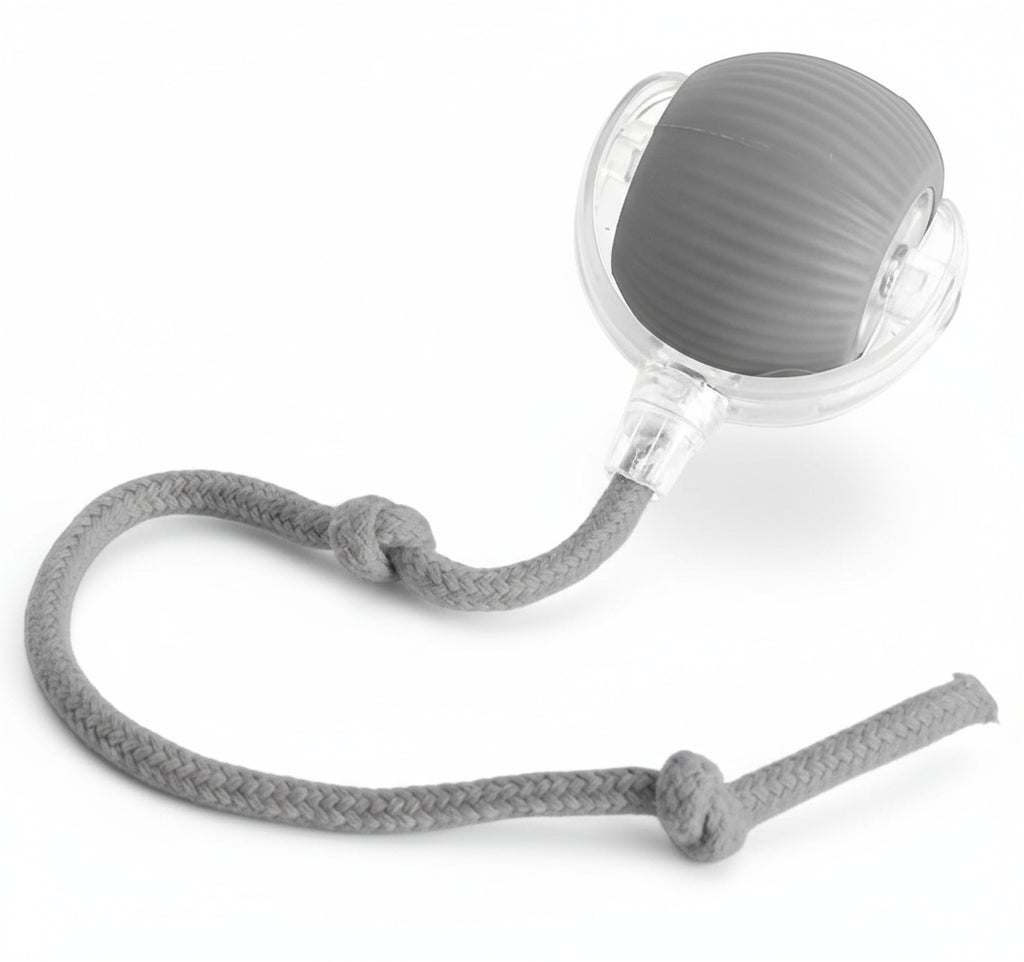 Paws Furfinity 1 Gray Rolling Ball Ball For Dogs Doggie Ball Interactive Dog Smart Ball Toy Interactive Cat Ball Toy 360  Smart Automatic Rolling Pet Ball