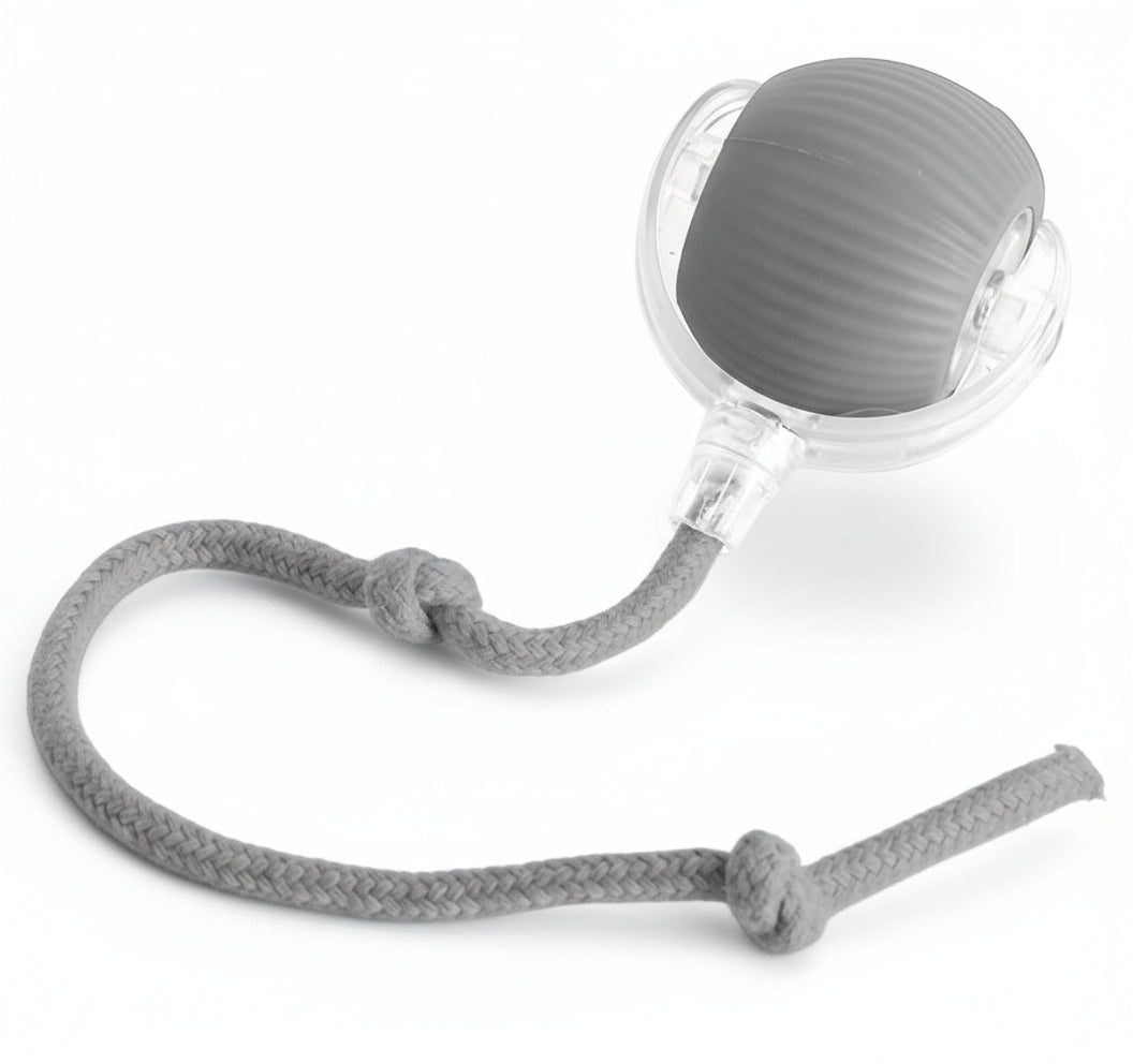 Paws Furfinity 1 Gray Rolling Ball Ball For Dogs Doggie Ball Interactive Dog Smart Ball Toy Interactive Cat Ball Toy 360  Smart Automatic Rolling Pet Ball