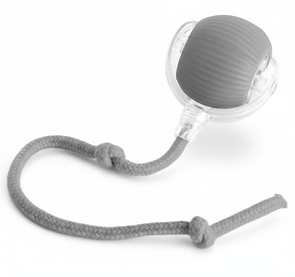 Paws Furfinity 1 Gray Rolling Ball Ball For Dogs Doggie Ball Interactive Dog Smart Ball Toy Interactive Cat Ball Toy 360  Smart Automatic Rolling Pet Ball