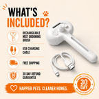 Paws Furfinity 1 Rechargeable Mist Grooming Brush