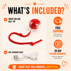 Paws Furfinity 1 Smart Interactive Rolling Ball Toy