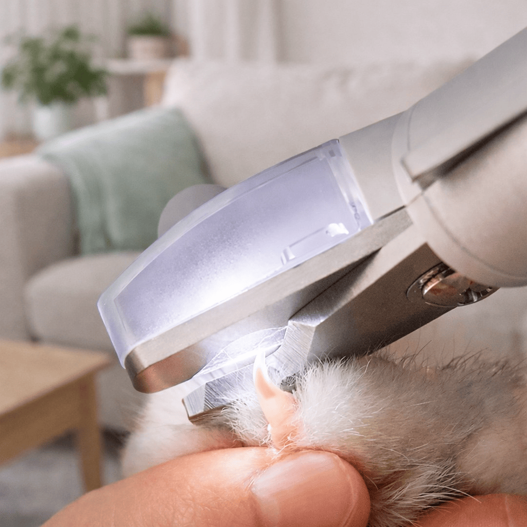 Paws Furfinity 1 White Smart LED Safety Pet Nail Clipper