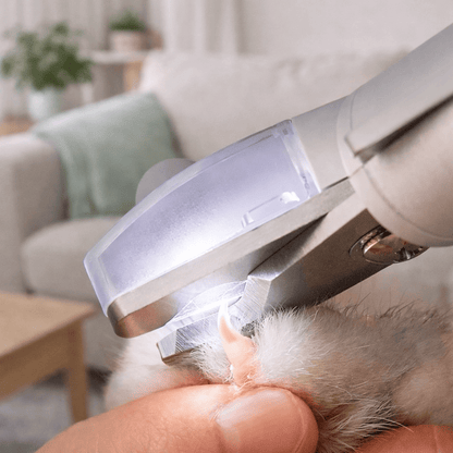 Paws Furfinity 1 White Smart LED Safety Pet Nail Clipper