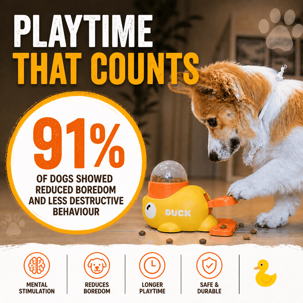 Paws Furfinity 1 Yellow Interactive Duck Treat Dispensing Toy