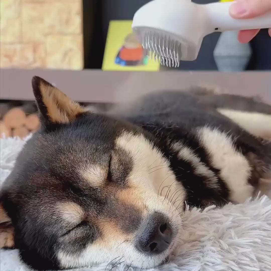 Rechargeable Mist Grooming Brush