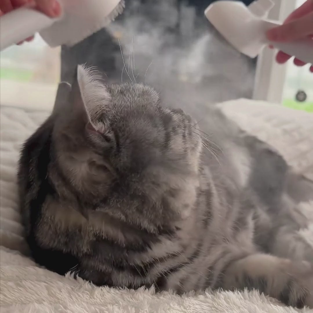 Rechargeable Mist Grooming Brush